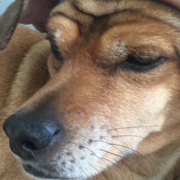 Meet your Posher, Rj - Picture 1 of 1